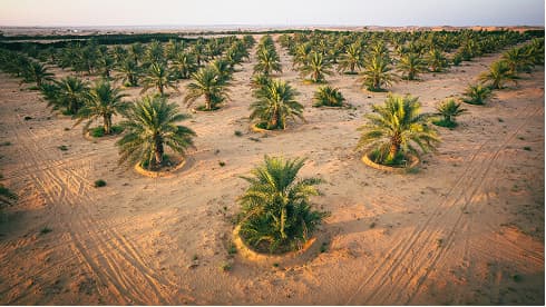 NerstAgric Produces Video for the "AGIR ENSEMBLE" Campaign in Ondo State.