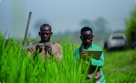 Business Support & Digital Transformation