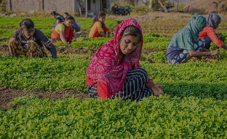 Human Capital & Compliance