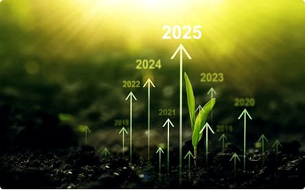 Strategic Advisory & Pre-Investment